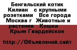 Бенгальский котик Килиан , с крупными розетками - Все города, Москва г. Животные и растения » Кошки   . Крым,Гвардейское